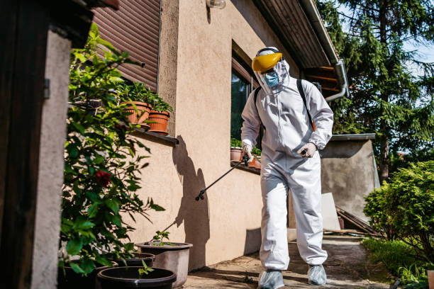 Best Bed Bug Extermination  in Shil, OH