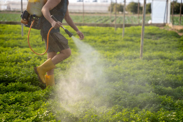 Best Affordable Pest Control Services  in Shil, OH