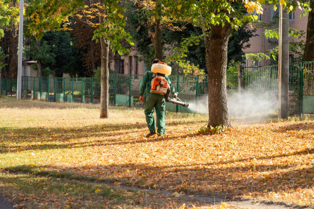 Best Pest Control Near Me  in Shil, OH