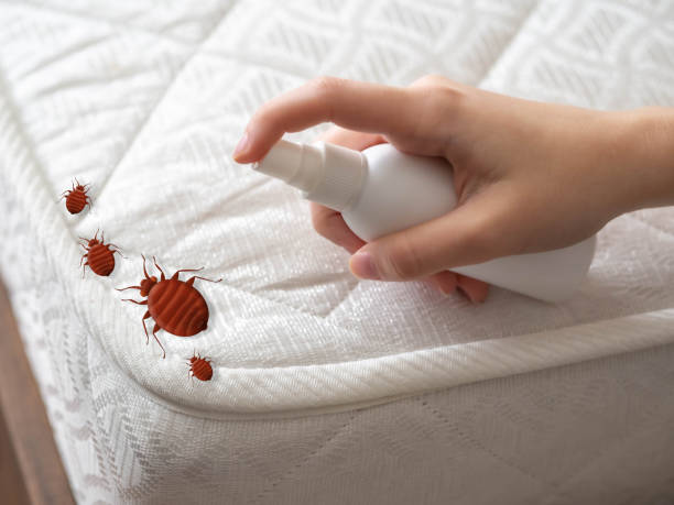Best Local Pest Control Services  in Shil, OH